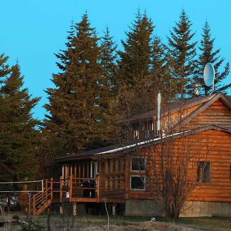 Bear Den Vacation Home アンカー・ポイント 部屋 写真